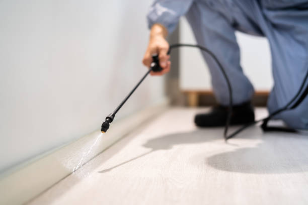 Bed Bug Pre-Treatment Preparation Assessment in Highland