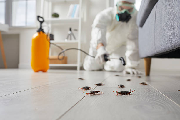 Post-Treatment Bed Bug Interceptor Monitoring in Highland
