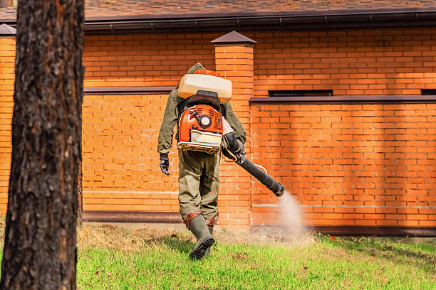 Bed Bug Clearance Verification and Documentation in Highland